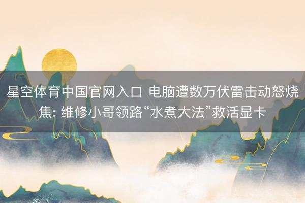 星空体育中国官网入口 电脑遭数万伏雷击动怒烧焦: 维修小哥领路“水煮大法”救活显卡