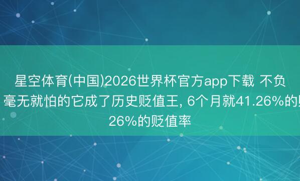 星空体育(中国)2026世界杯官方app下载 不负众望、毫无就怕的它成了历史贬值王， 6个月就41.26%的贬值率