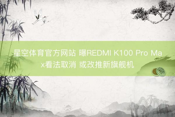 星空体育官方网站 曝REDMI K100 Pro Max看法取消 或改推新旗舰机
