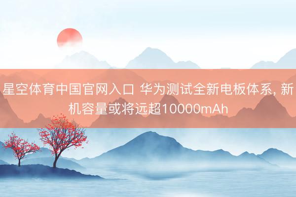 星空体育中国官网入口 华为测试全新电板体系， 新机容量或将远超10000mAh