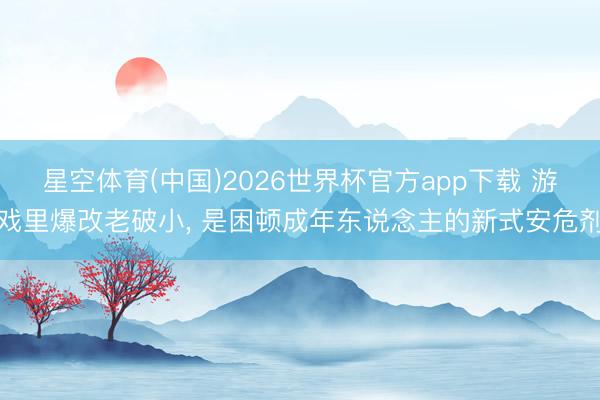 星空体育(中国)2026世界杯官方app下载 游戏里爆改老破小， 是困顿成年东说念主的新式安危剂