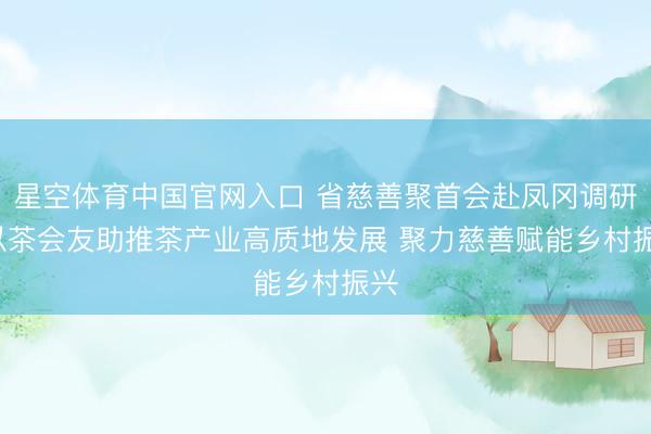 星空体育中国官网入口 省慈善聚首会赴凤冈调研: 以茶会友助推茶产业高质地发展 聚力慈善赋能乡村振兴