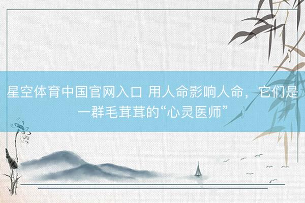 星空体育中国官网入口 用人命影响人命，它们是一群毛茸茸的“心灵医师”