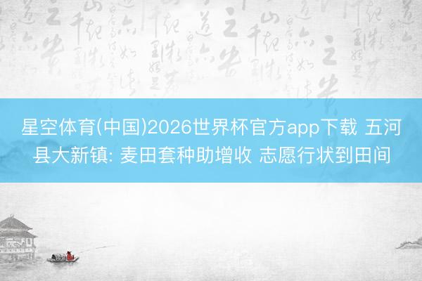 星空体育(中国)2026世界杯官方app下载 五河县大新镇: 麦田套种助增收 志愿行状到田间