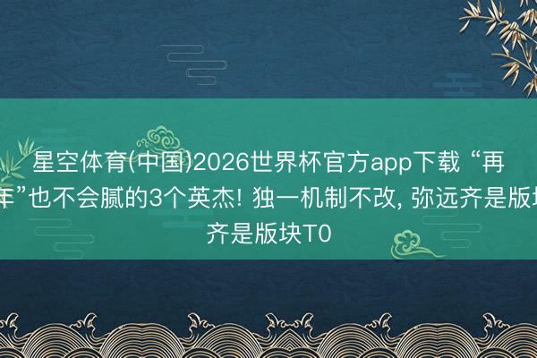 星空体育(中国)2026世界杯官方app下载 “再玩5年”也不会腻的3个英杰! 独一机制不改， 弥远齐是版块T0