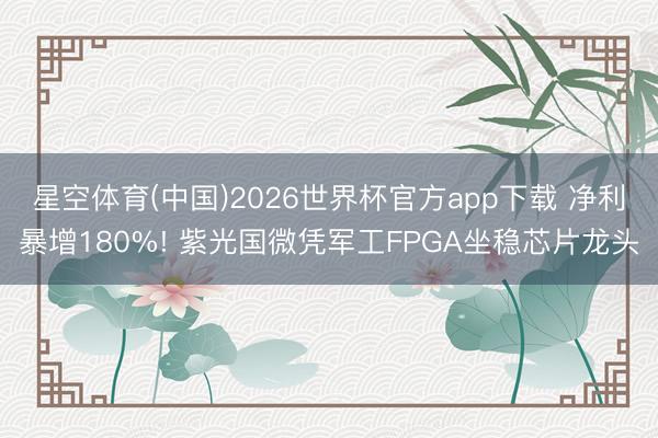 星空体育(中国)2026世界杯官方app下载 净利暴增180%! 紫光国微凭军工FPGA坐稳芯片龙头