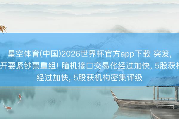 星空体育(中国)2026世界杯官方app下载 突发, 002760, 拆开要紧钞票重组! 脑机接口交易化经过加快, 5股获机构密集评级