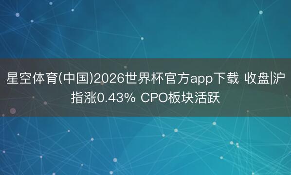 星空体育(中国)2026世界杯官方app下载 收盘|沪指涨0.43% CPO板块活跃