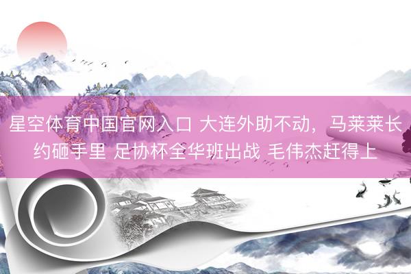 星空体育中国官网入口 大连外助不动，马莱莱长约砸手里 足协杯全华班出战 毛伟杰赶得上