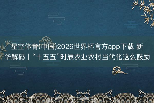 星空体育(中国)2026世界杯官方app下载 新华解码丨“十五五”时辰农业农村当代化这么鼓励