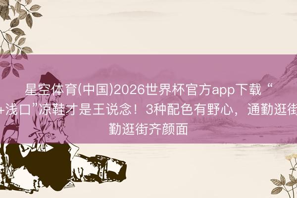 星空体育(中国)2026世界杯官方app下载 “露脚背+浅口”凉鞋才是王说念！3种配色有野心，通勤逛街齐颜面