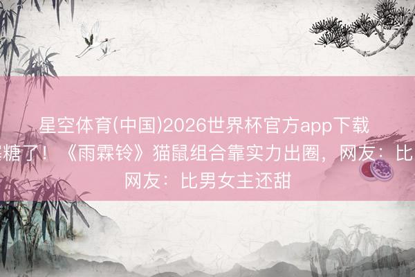 星空体育(中国)2026世界杯官方app下载 编剧别硬塞糖了！《雨霖铃》猫鼠组合靠实力出圈，网友：比男女主还甜