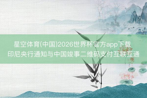 星空体育(中国)2026世界杯官方app下载 印尼央行通知与中国竣事二维码支付互联互通