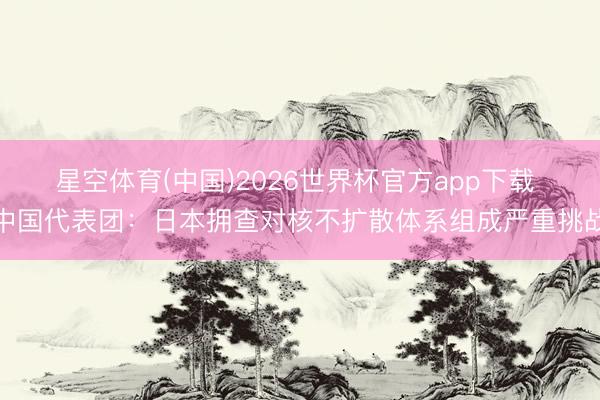 星空体育(中国)2026世界杯官方app下载 中国代表团：日本拥查对核不扩散体系组成严重挑战