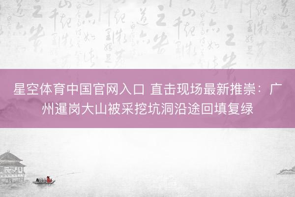 星空体育中国官网入口 直击现场最新推崇:广州暹岗大山被采挖坑洞沿途回填复绿